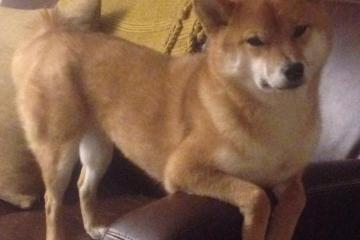 开云体育在线-塞维利亚铁骑踏碎高卢雄鸡，德布劳内稳定感成现代足球终极奢侈