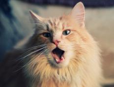 开云体育入口-当新疆队遇上杜兰特，个体天赋在篮球世界的绝对压制