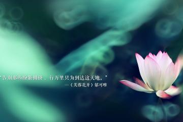 开云体育入口-武切维奇赛后评分拉满！鹈鹕三分雨浇灭黄蜂反扑，攻防一体诠释现代中锋新解