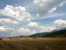 开云下载-新星主导，拉梅洛·鲍尔引领爵士在菲尼克斯的战术革命