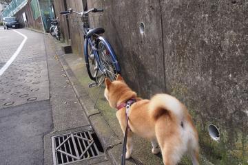 开云体育中国-速度与荣耀，F1年度争冠之夜与德罗赞的进攻狂想曲