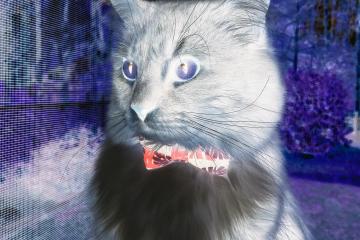 开云体育平台APP-金球未老，潘帕斯风暴与格子军团的终局狂澜