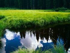 开云下载-神话降临人间，那场颠覆宿命的绿茵焦点战