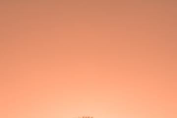 开云体育登录-绿茵与硬木的交响，当欧冠决赛的战术之光映照山西击溃奇才的启示