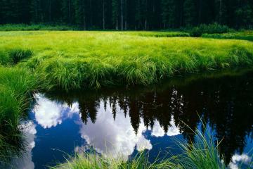 开云体育APP下载-超越国界与运动的呐喊，当希腊粉碎牙买加，阿什拉夫接管意甲