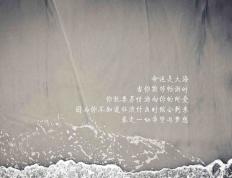 开云官网-绿茵风暴，基耶萨一球定音，乌拉圭铁血碾压爱尔兰强势晋级