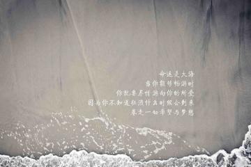 开云官网-绿茵风暴，基耶萨一球定音，乌拉圭铁血碾压爱尔兰强势晋级