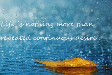 开云体育官网-钢铁防线上的破冰者，斯通斯如何以一己之力改写荷兰生死战命运