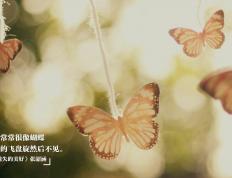 开云体育中国-戈麦斯，逆境中的瑞士军刀，精确制导终结加纳钢铁防线