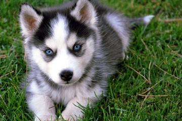 开云体育在线-战术纪律与自我超越，解析曼城的体系胜利与迪巴拉的心灵涅槃