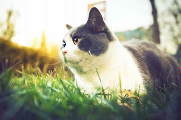 开云体育在线-霍勒迪掀起钢铁洪流，快船强行冰封天山终结新疆队！