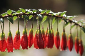 开云体育app-阿什拉夫，在背叛与忠诚的界线上，定义现代边卫的攻防转换艺术