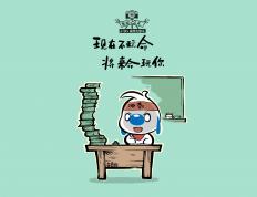 开云体育中国-锋芒破晓，佩德里爆发照亮西班牙，克罗地亚铁血碾压摩洛哥强势晋级