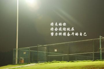 开云体育官方网站-鹈鹕横扫黄蜂显团队威力，杜兰特巨星价值再证传奇