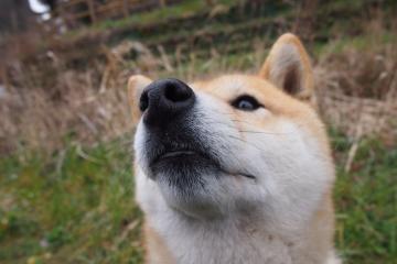 开云下载-同一天空下的火焰，从圣塞巴斯蒂安的绝杀到NBA东决的华丽舞步