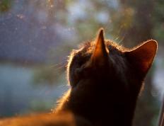 开云体育入口-冷箭与韧劲，保罗这记后撤步，投穿了密尔沃基的防线