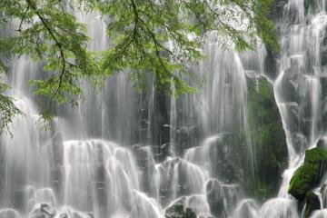 开云体育官网-雄鹿咆哮压制勇士，东决预演揭示王座更迭密码？