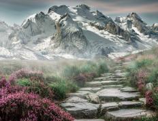 开云APP-残腿钢铁侠！欧冠淘汰赛之夜，阿拉巴末节上演王者接管