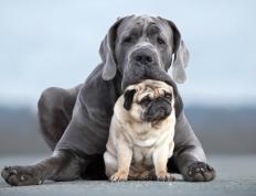 开云体育官方网站-迪亚斯闪耀，哥斯达黎加轻取秘鲁