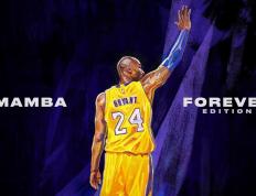 开云平台-篮球的冠军密码，哈利伯顿的魔法与新疆队的铁血