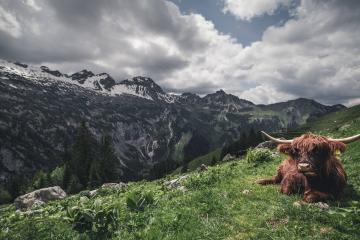 开云下载-曼城翻盘奇迹夜！佩德里世界排名战上演新王登基