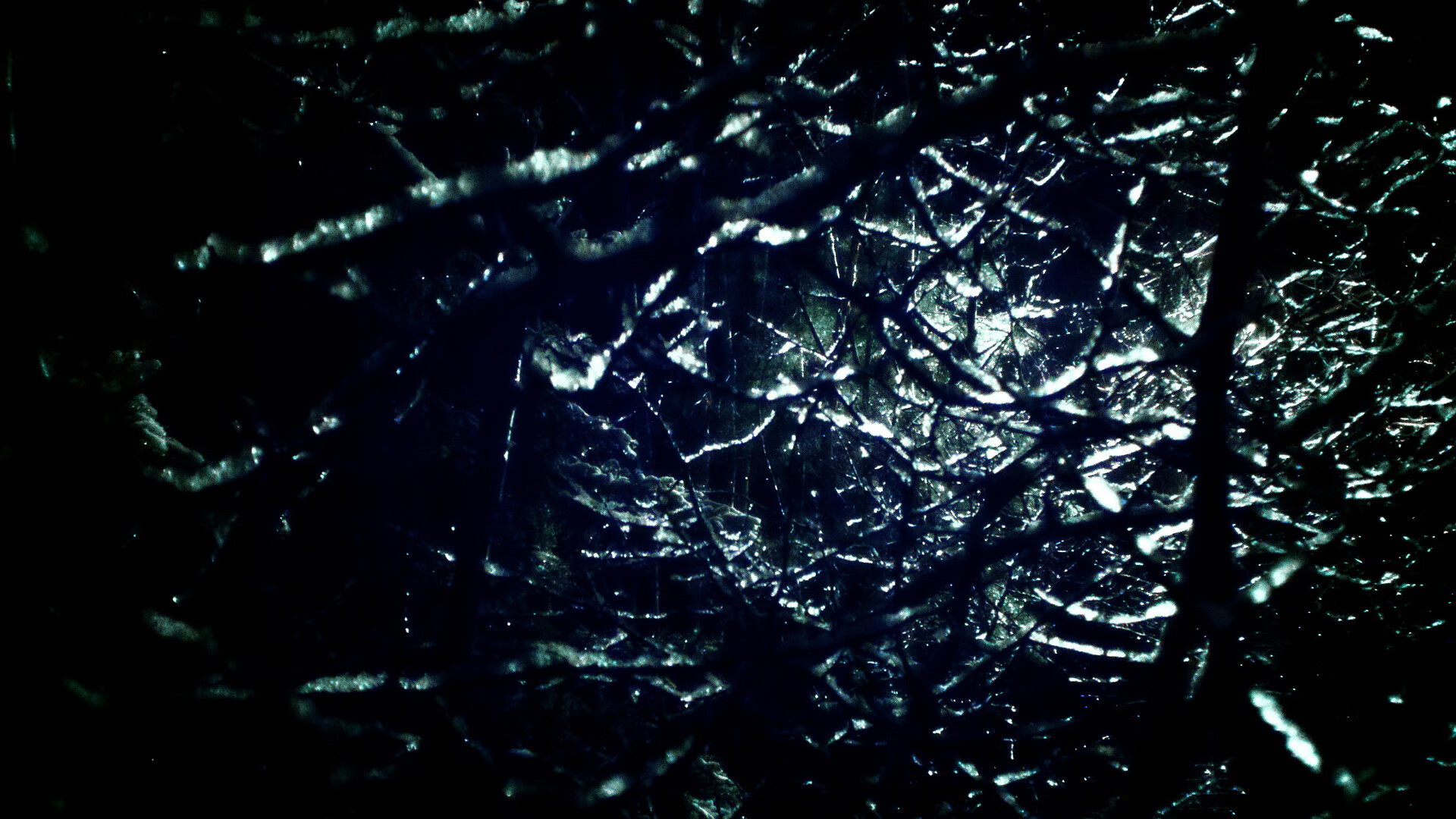 开云体育中国-2026世界杯焦点战，青春风暴席卷达拉斯，美国队4-0碾压洪都拉斯迎开门红