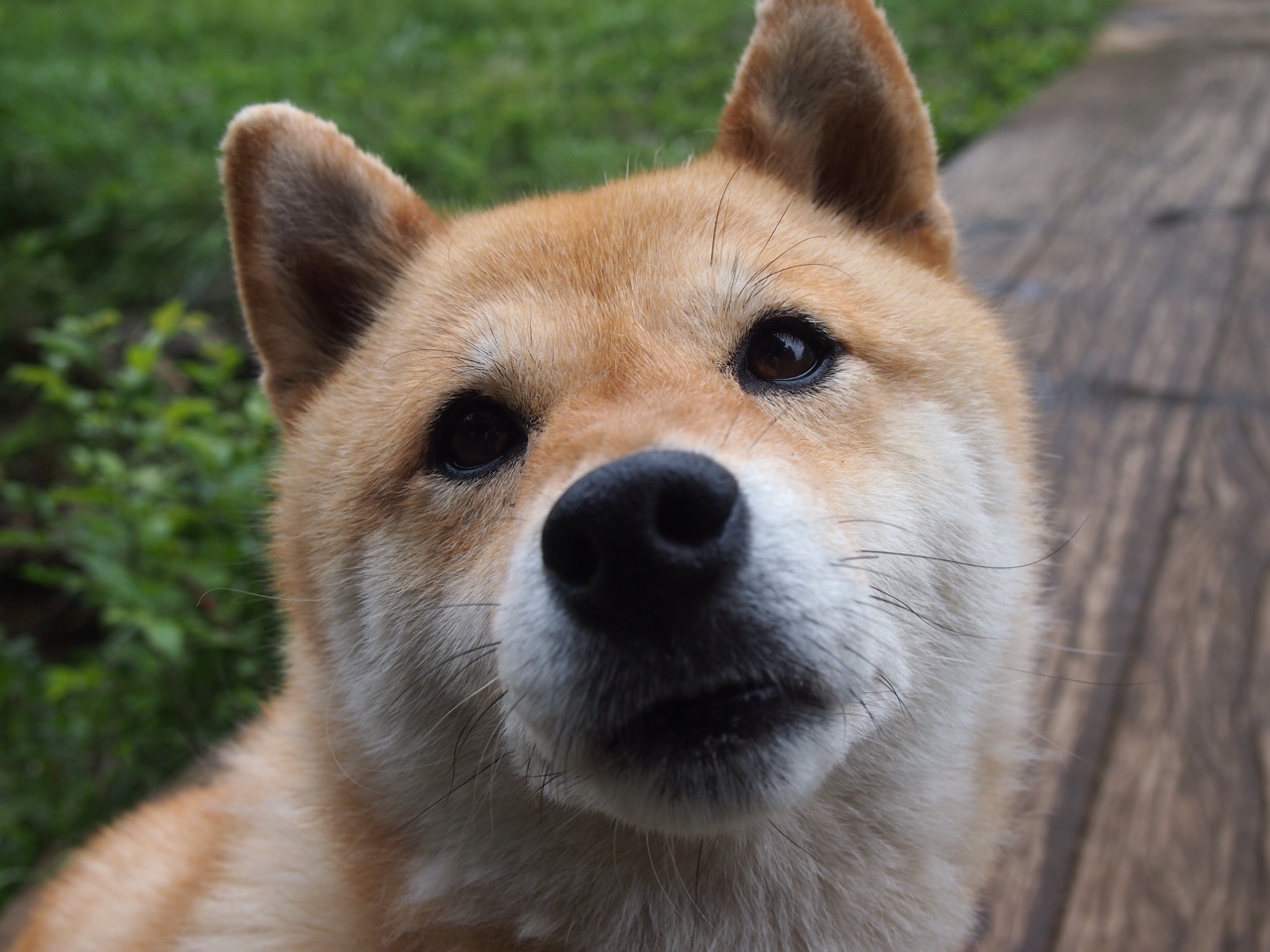 开云体育APP下载-末节收割与越洋遥映，篮球舞台上的胜负交响