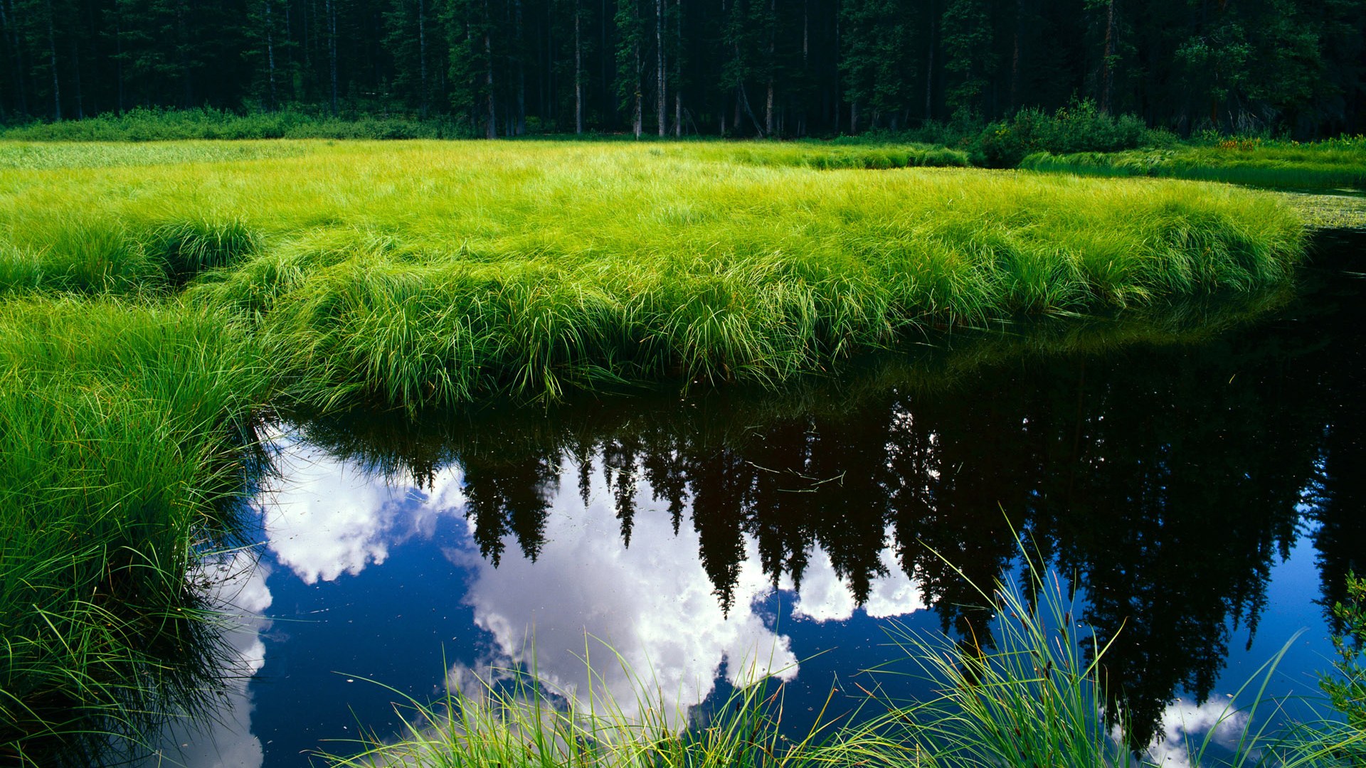 开云下载-神话降临人间，那场颠覆宿命的绿茵焦点战