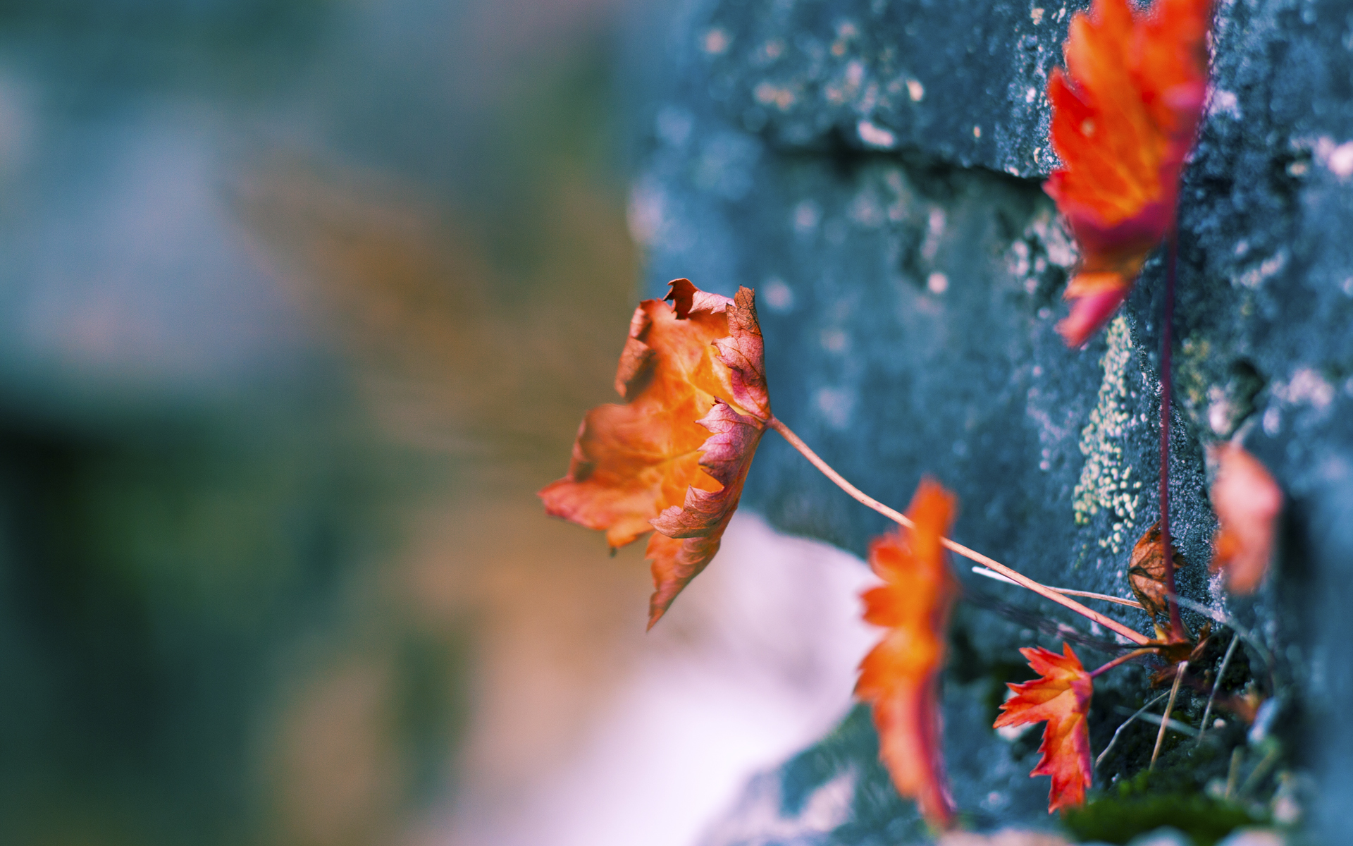 开云体育在线-赖斯惊天爆发,塞内加尔生死战逆转马德里竞技,谱写足球传奇