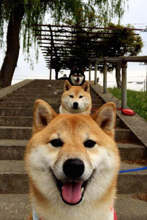 开云官网-极速争锋与王朝暗战,十字路口的赢家逻辑