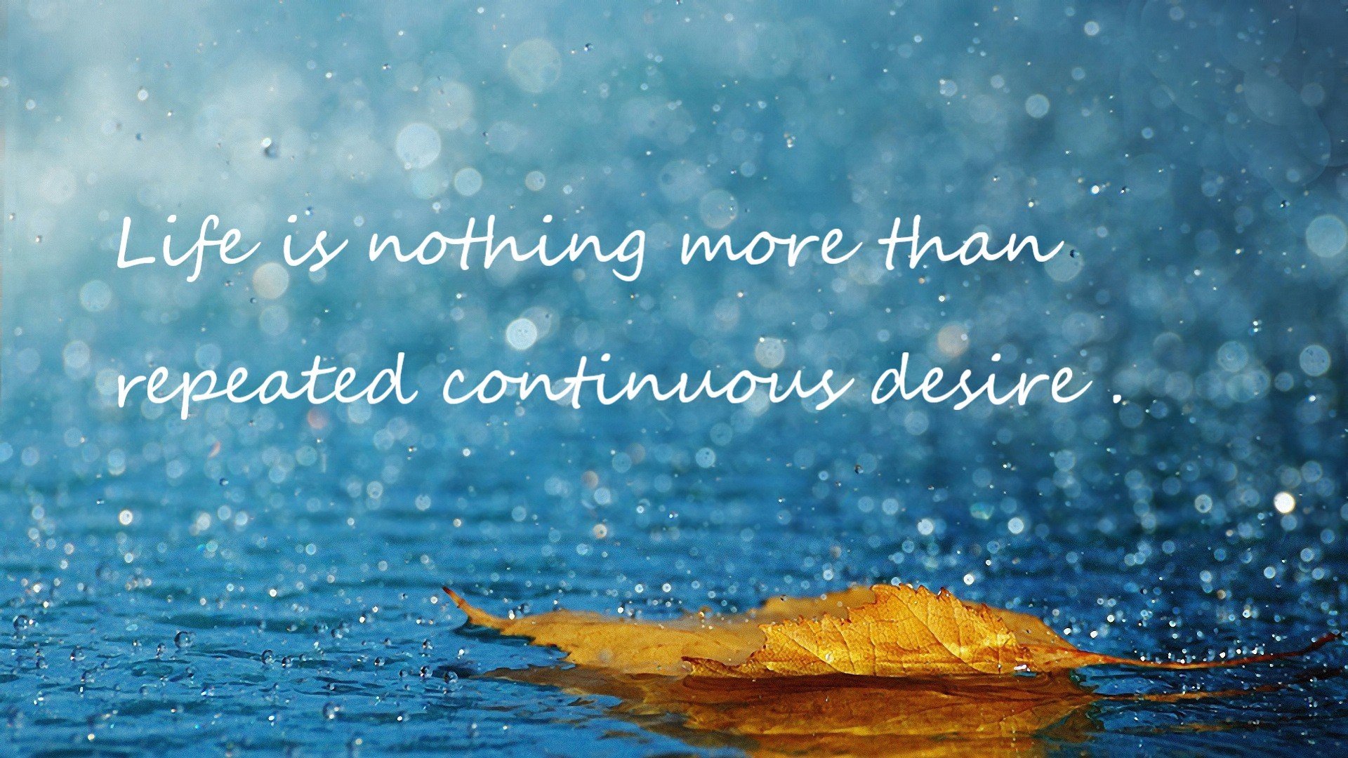 开云体育官网-钢铁防线上的破冰者，斯通斯如何以一己之力改写荷兰生死战命运