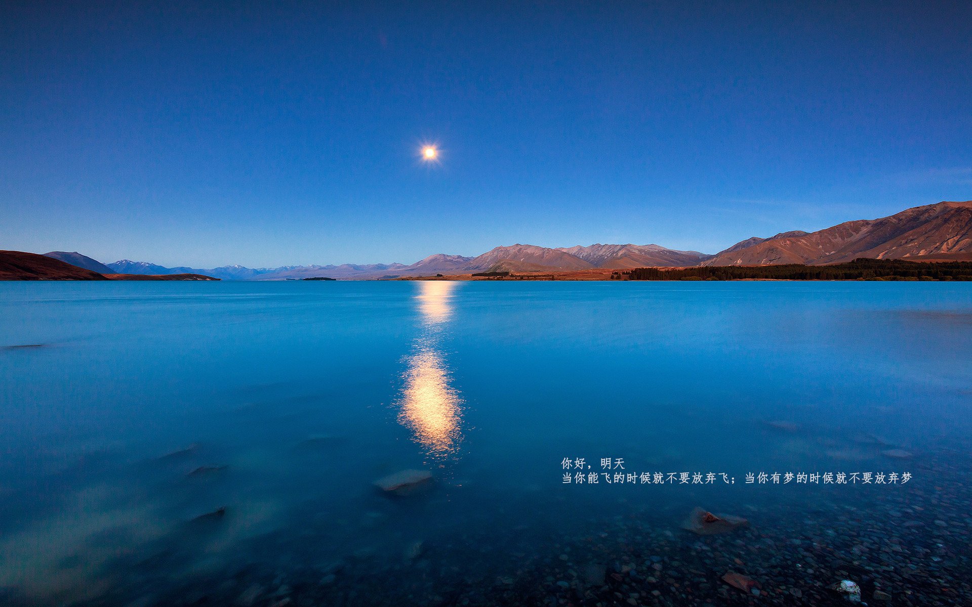 开云体育平台APP-勒沃库森对阵威尔士,坎特存在感拉满的中场统治