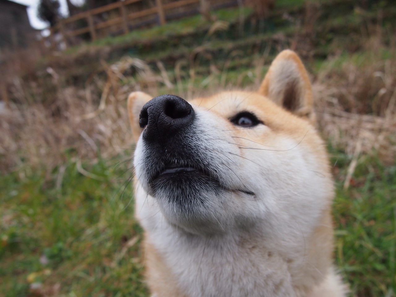 开云下载-同一天空下的火焰,从圣塞巴斯蒂安的绝杀到NBA东决的华丽舞步