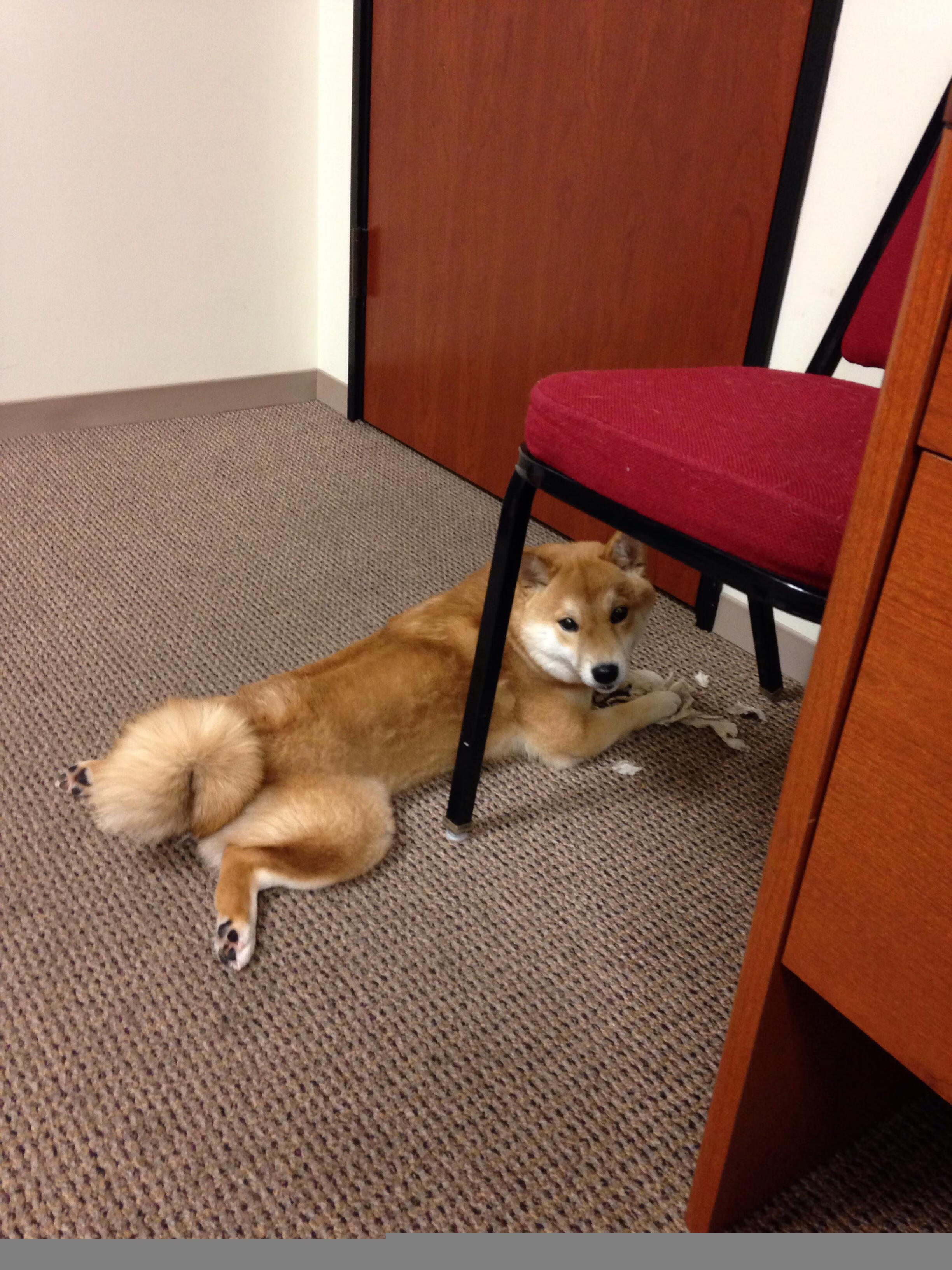 开云体育-曼联对阵韩国友谊赛,阿什拉夫数据全面爆炸,展现世界级边卫实力