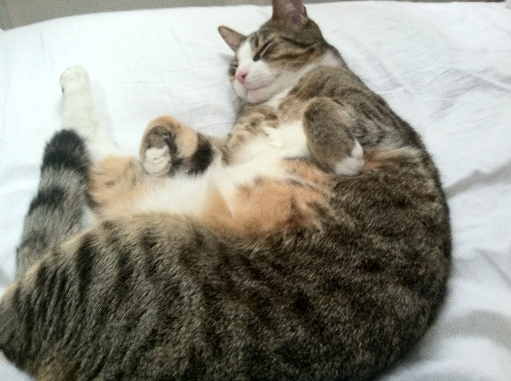 开云体育下载-桑巴风暴掀翻蓝武士,巴斯托尼刷新后卫助攻纪录