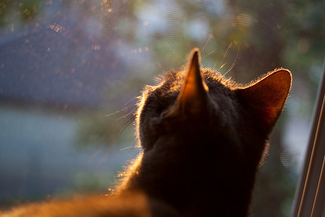 开云体育入口-冷箭与韧劲,保罗这记后撤步,投穿了密尔沃基的防线